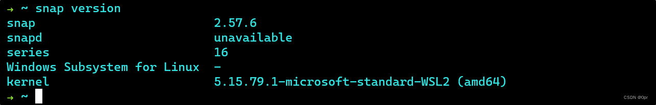 Windows WSL 启用 Systemd（使用 snap 安装应用）