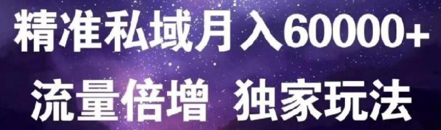 原力网赚精准私域月入60000+,流量倍增独家玩法