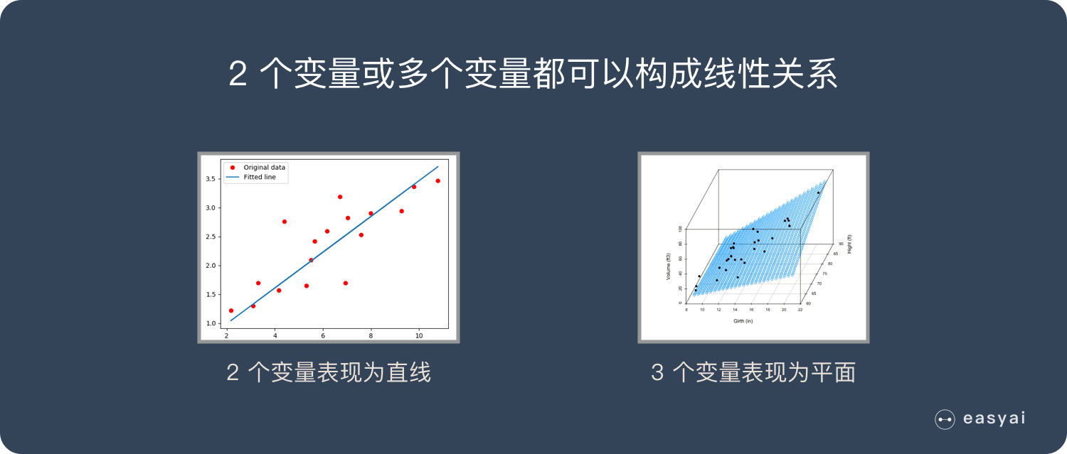 线性