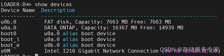 如何确定NetApp FAS存储系统是否正常识别到了boot device？