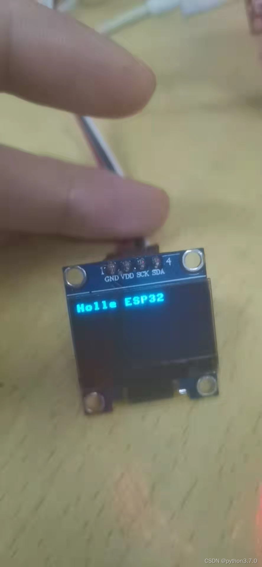 Holle ESP32