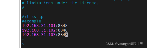 在这里插入图片描述