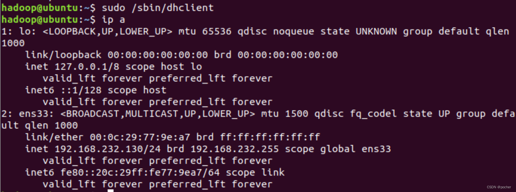 Ubuntu网络IP地址一直显示127.0.0.1