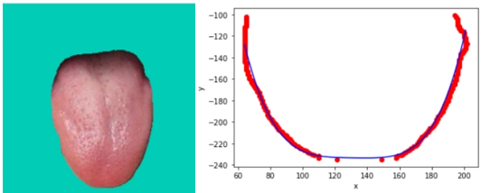 舌体胖瘦的自动分析-曲线拟合-或许是最简单判断舌形的方案（六）