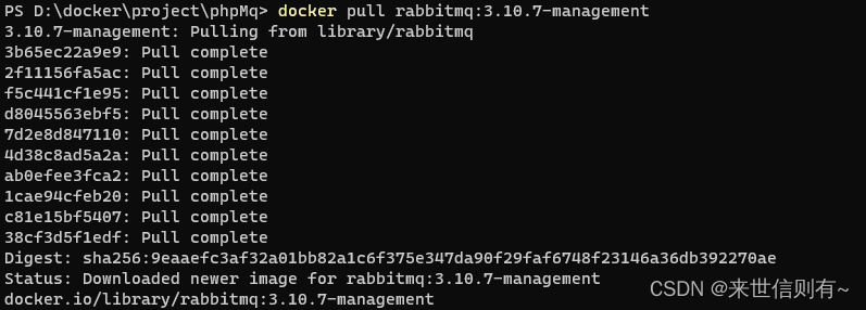 docker 安装nginx_linux启动docker服务