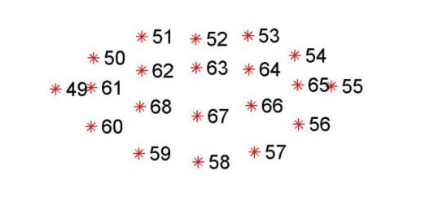 嘴部特征点图
