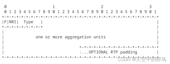 RTP payload format for aggregation packets