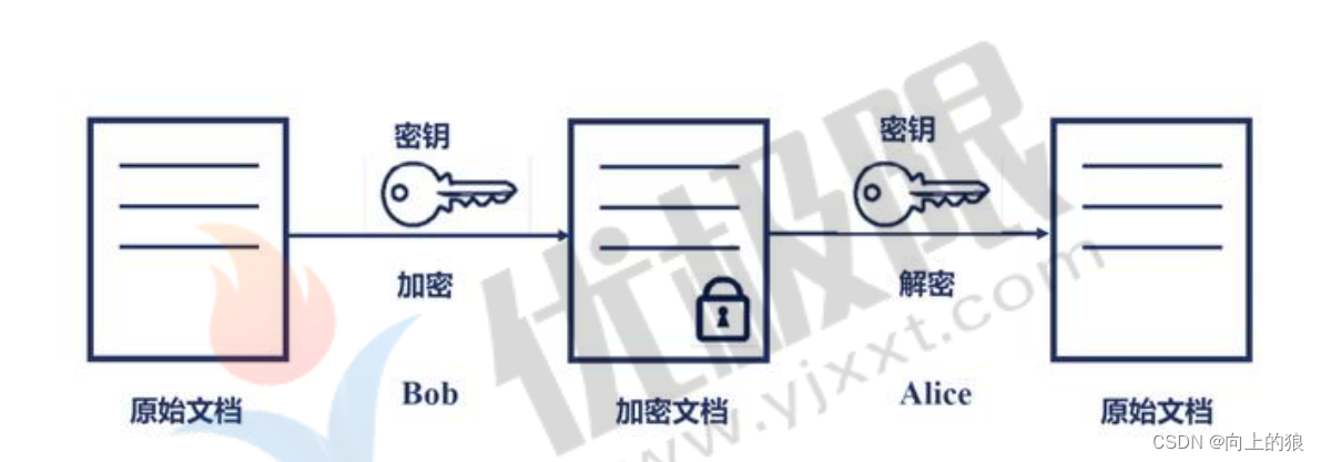 Linux的网络信息详解