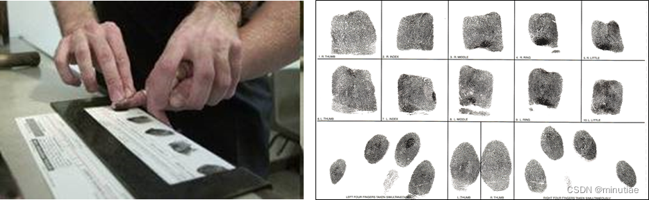 Fingerprint collection by ink method