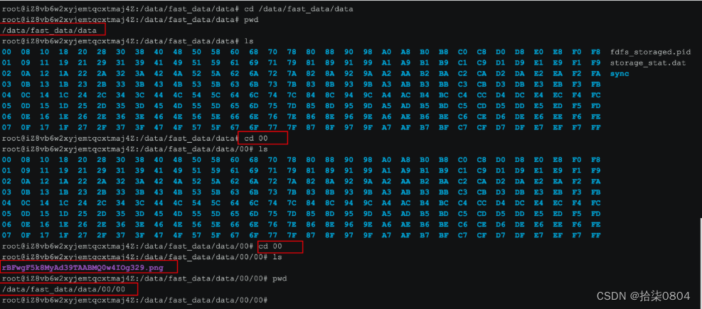 docker安装fastdfs