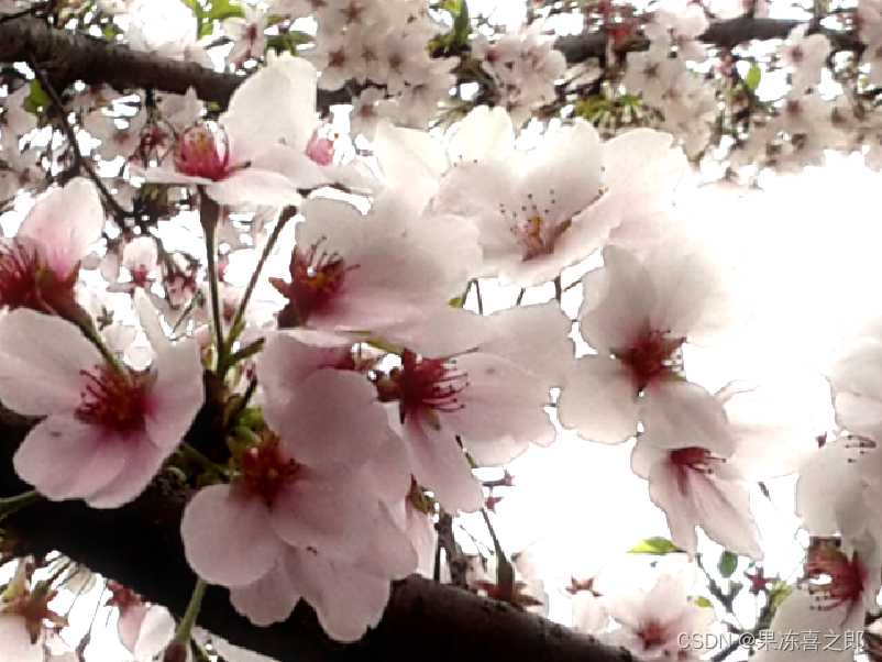 UnityShader入门精要——Bloom效果_unity bloom-CSDN博客