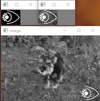 灰度状态