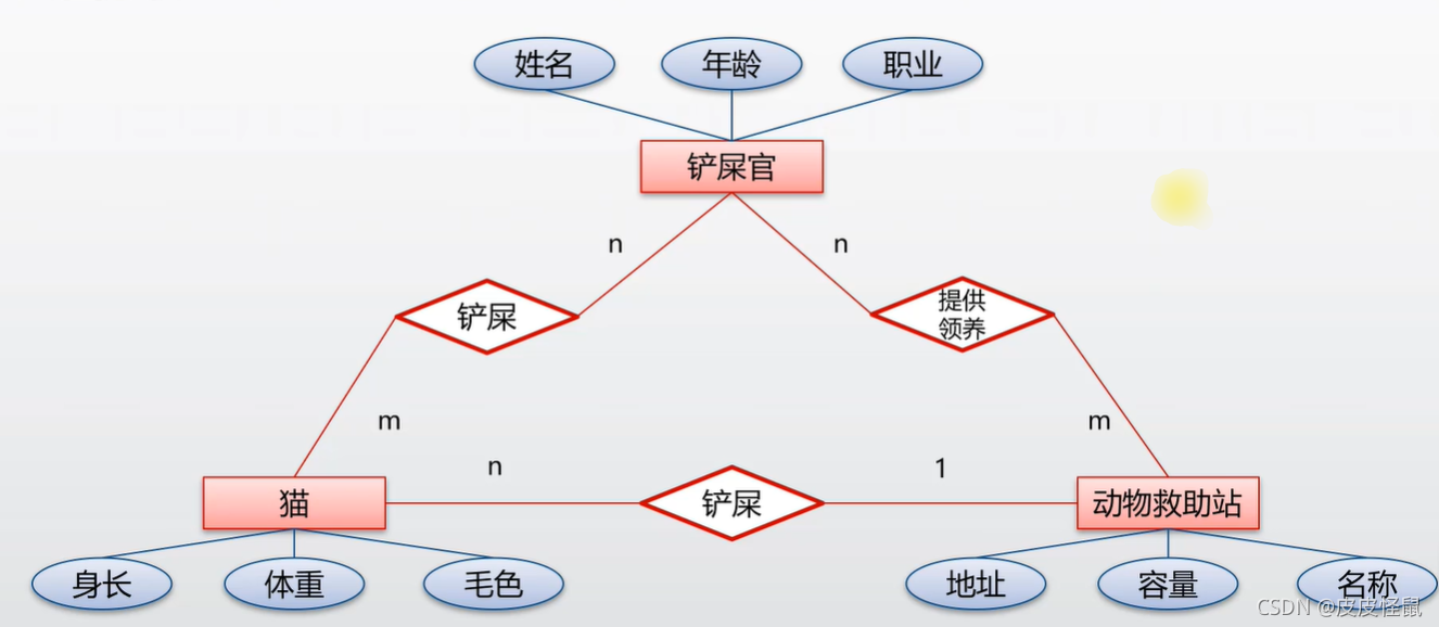 数据库设计和ER图解释
