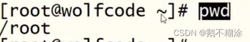 Liunx基础命令 - pwd命令