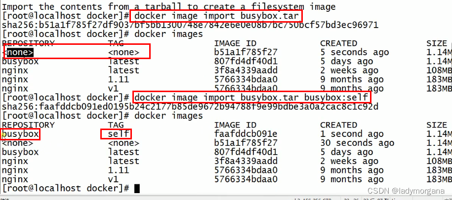 【Docker】第三章 镜像管理