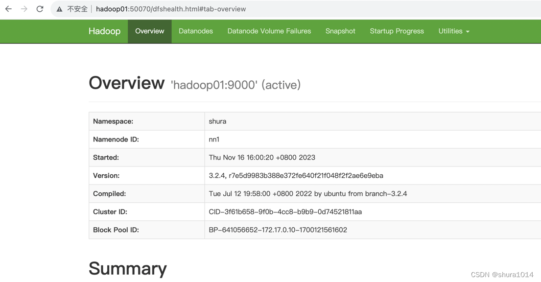 hadoop01