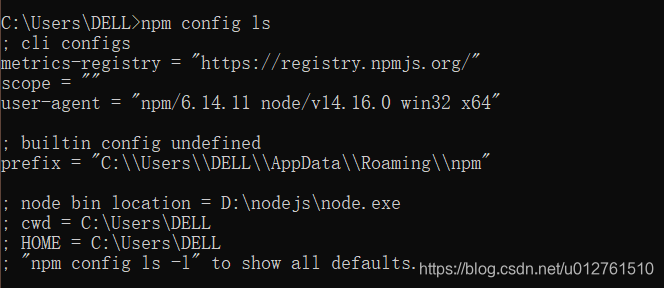 npm config ls