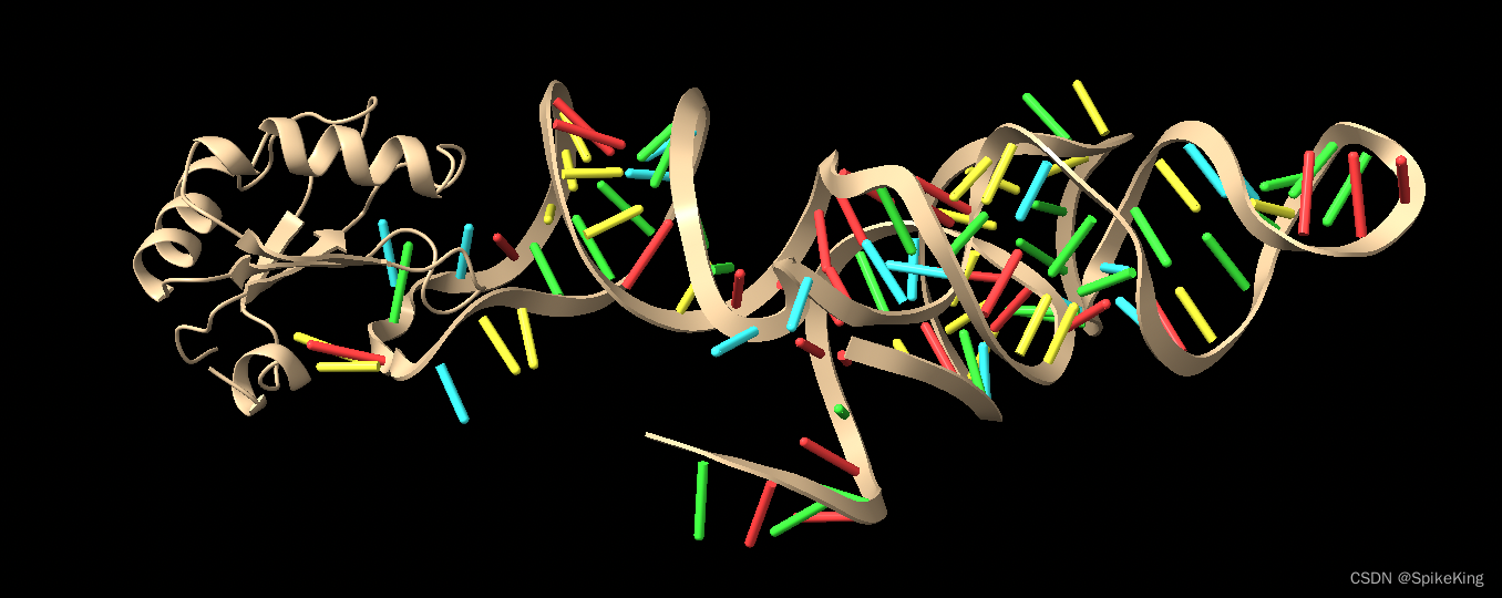 PSP - 蛋白质与核酸(RNA\DNA)复合物结构预测 RoseTTAFoldNA 算法框架