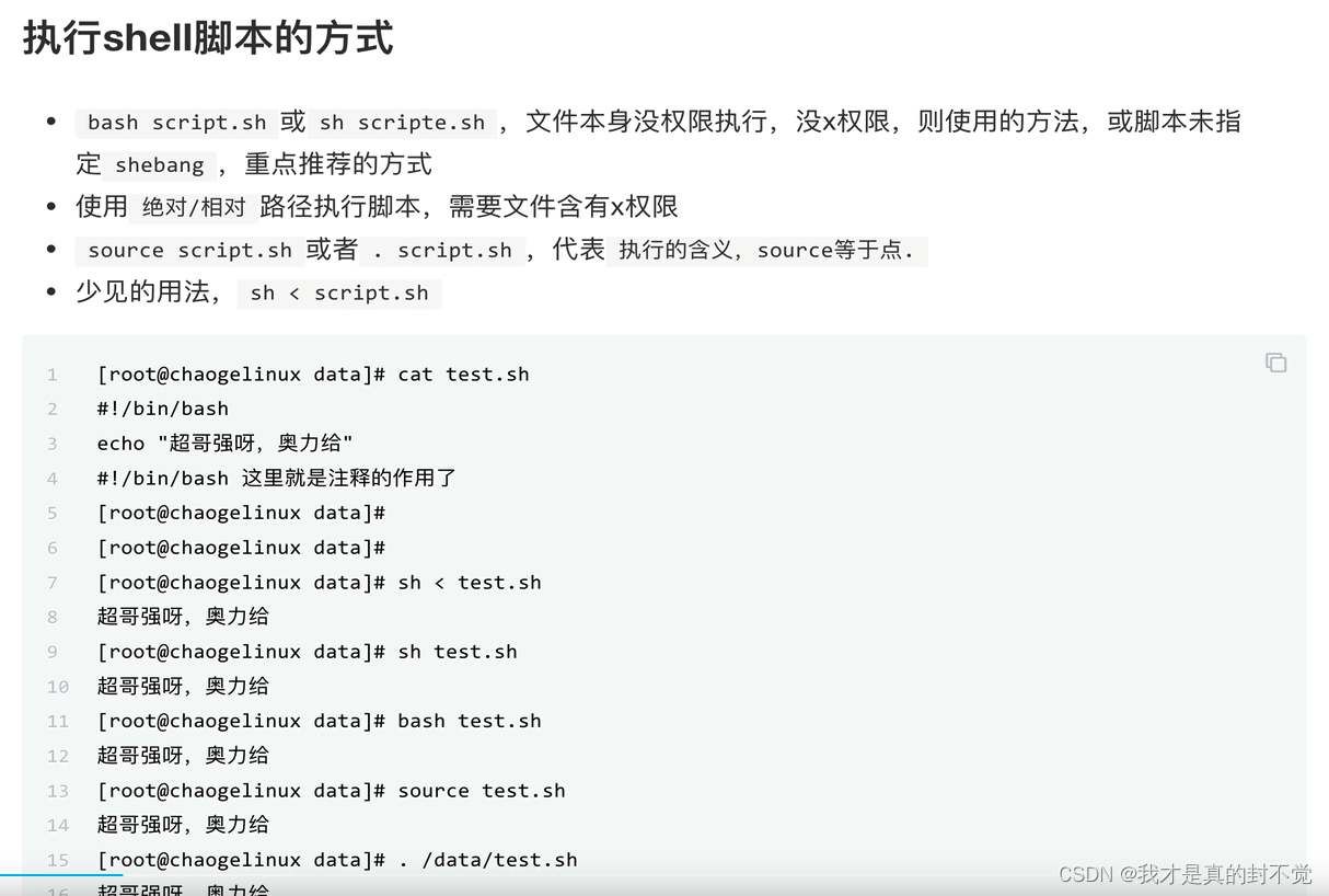 Shell最全笔记 就决定用你了