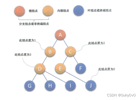 【数据结构】二叉树（带图详解）