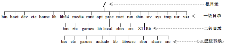 Linux文件类型与根目录结构