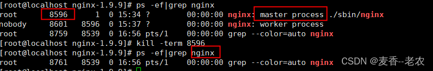 nginx的停止