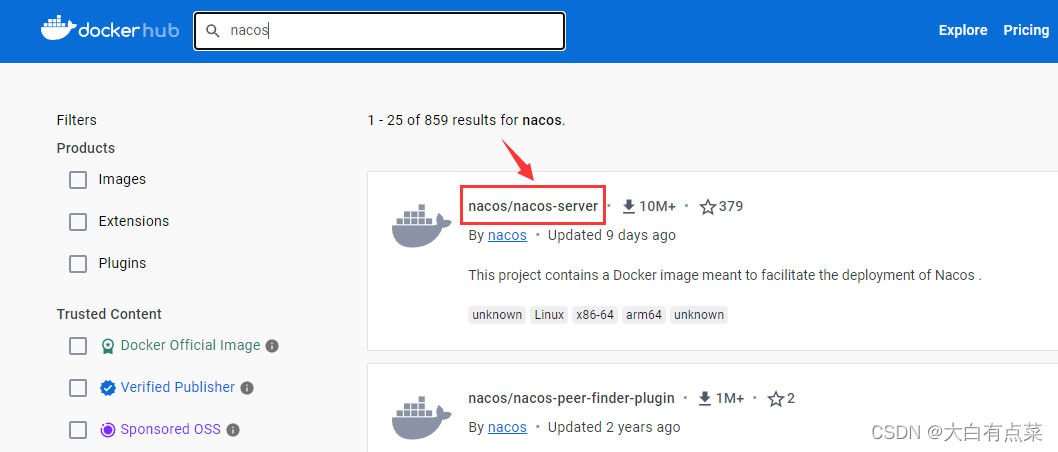 对应的 Nacos Server Docker版