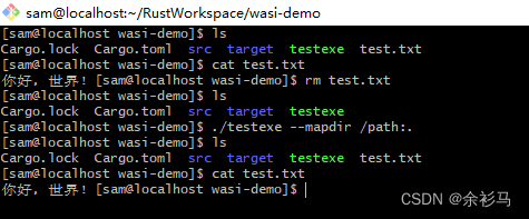 Rust Wasm Linux开发环境搭建