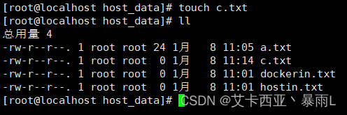 host中增加c.txt