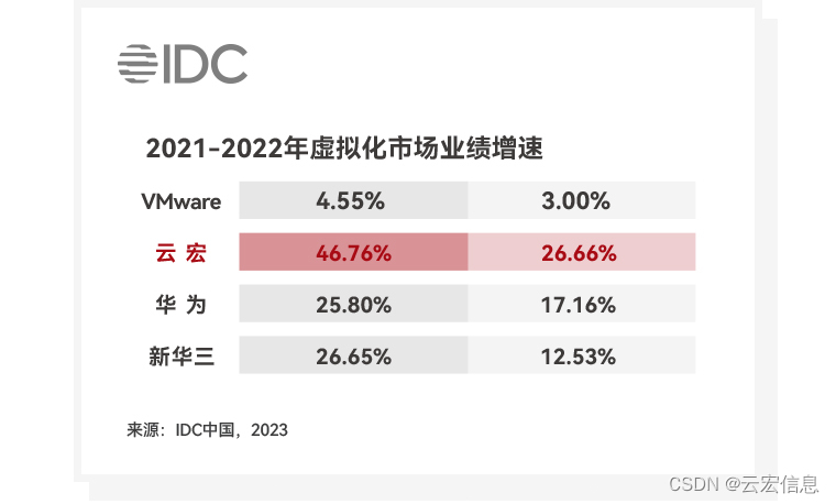 2021-2022年虚拟化市场业绩增速-云宏增速第一_来源IDC中国，2023