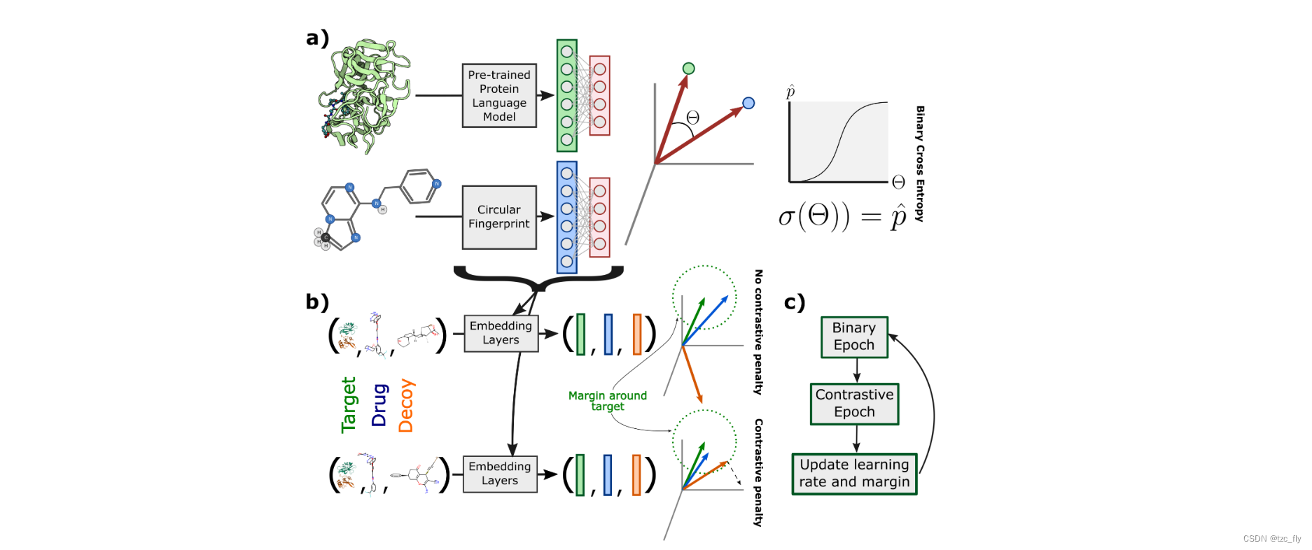 fig2