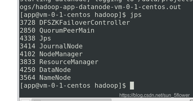 hadoop启动之后的nn