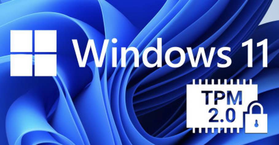 从开发者角度玩Windows 11