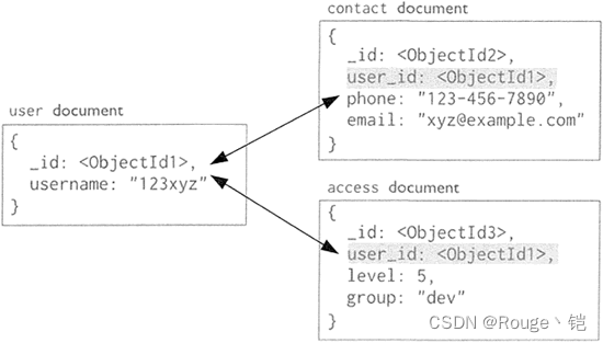 图1 MongoDB 文档数据模型