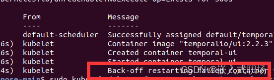 【K3s】第5篇 解决出现“Back-off Restarting Failed Container”_【云原生Kubernetes】-CSDN专栏