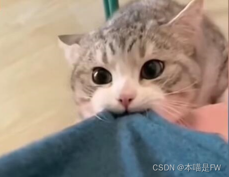 《小猫猫大课堂》——数组，操作符，常见关键字