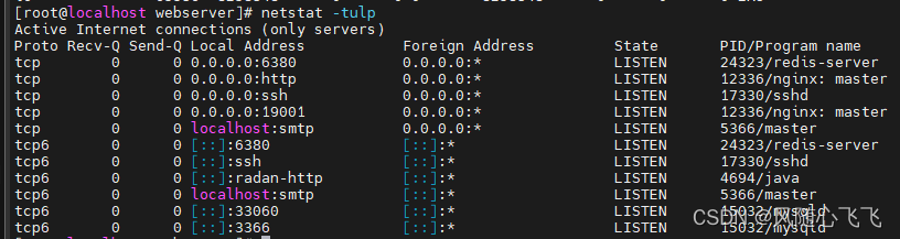 Linux 常用命令——【 2.查看程序端口占用及网络连接 netstat 命令】