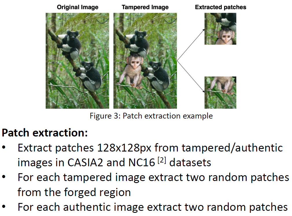 A deep learning approach to detection of splicing and copy-move forgeries in images