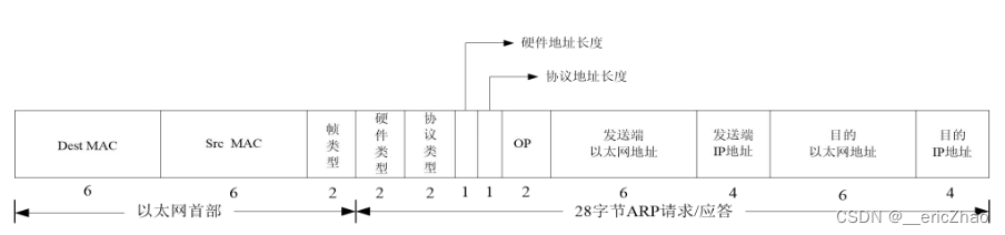 ARP头部字段