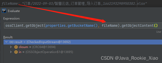 获取成功，返回了输入流