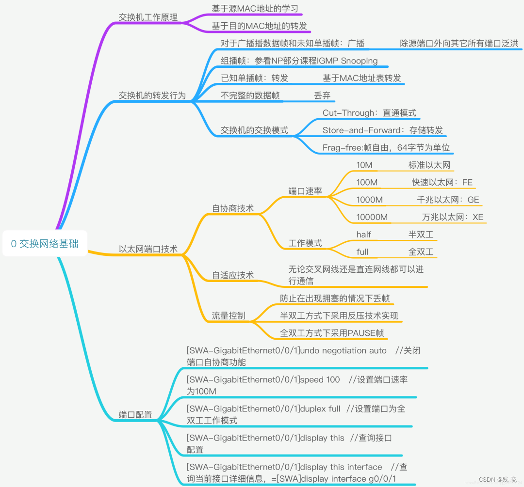 交换网络基础