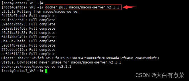 docker pull nacos/nacos-server:v2.1.1 命令拉取 Nacos Sever镜像