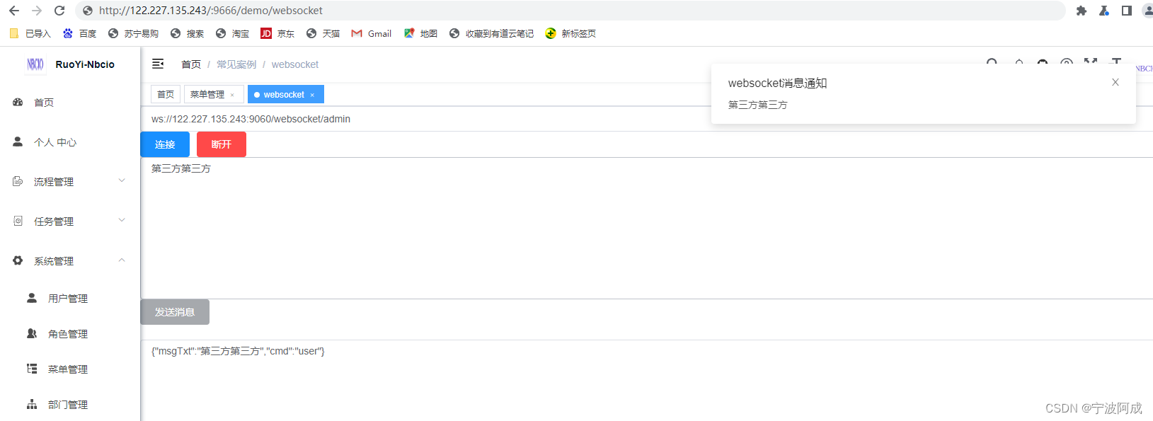 ruoyi-nbcio增加websocket与测试页面