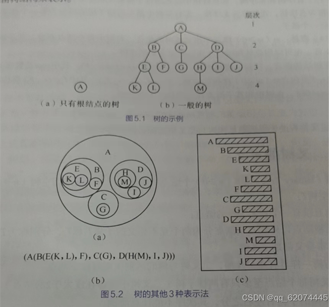 树和二叉树的主要区别_树与二叉树的转换_java求二叉树的高度