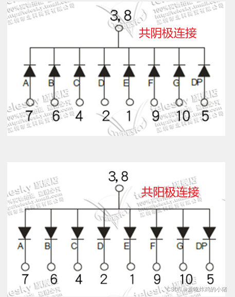 STC89C52单片机数码管介绍以及代码示例_89c52数码管字模-CSDN博客