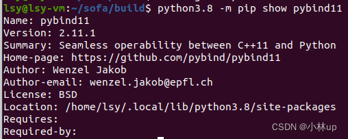 Ubuntu查看Python某个包的具体路径