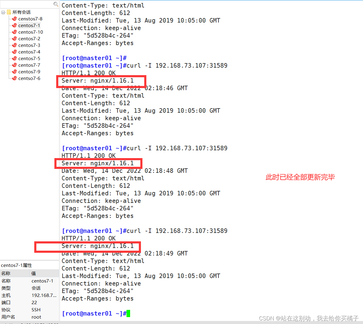 【云原生】k8s中kubectl陈述式资源管理