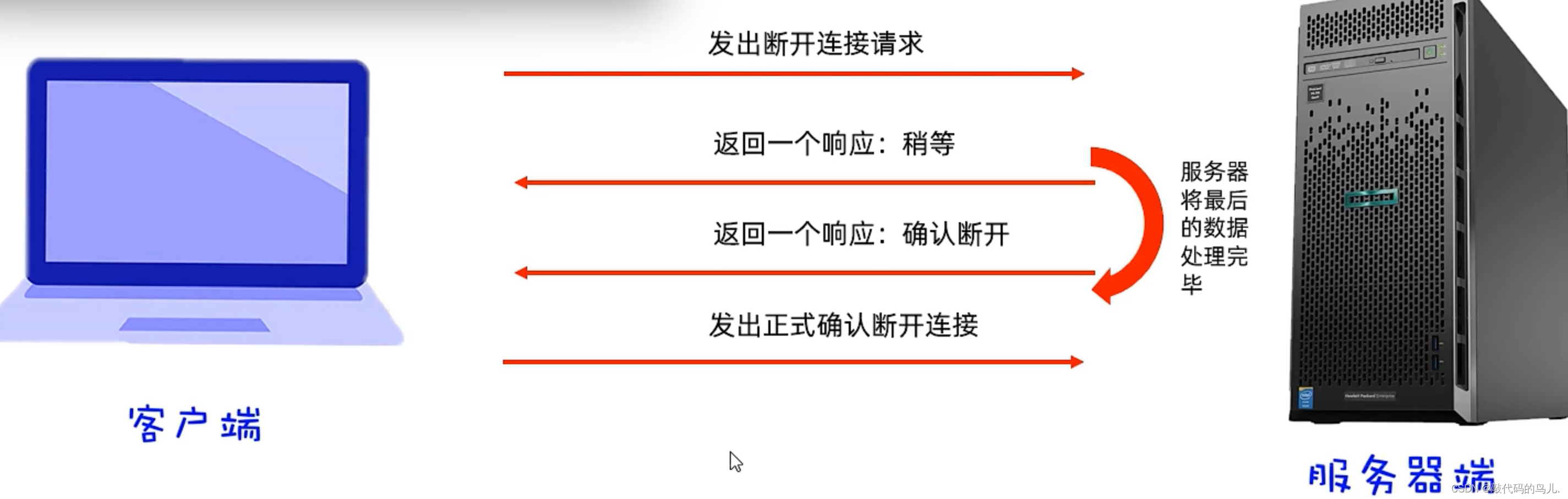 [进阶]网络通信：端口和协议