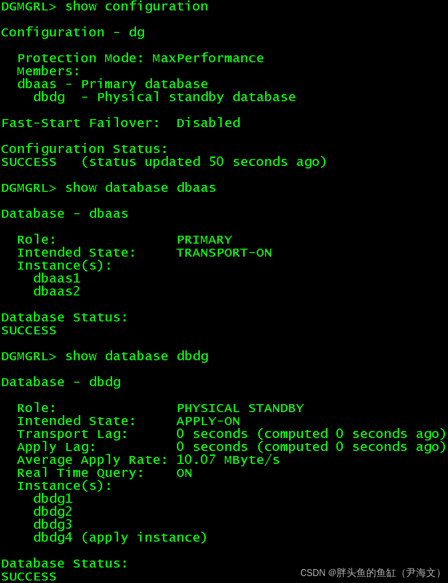 数据库管理-第八十期 Exadata to RAC(x86) ADG（20230605）