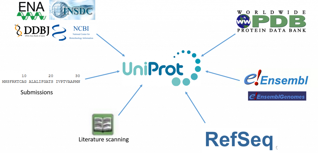 PSP - 更新 MSA 搜索的全部 UniProt 蛋白序列库